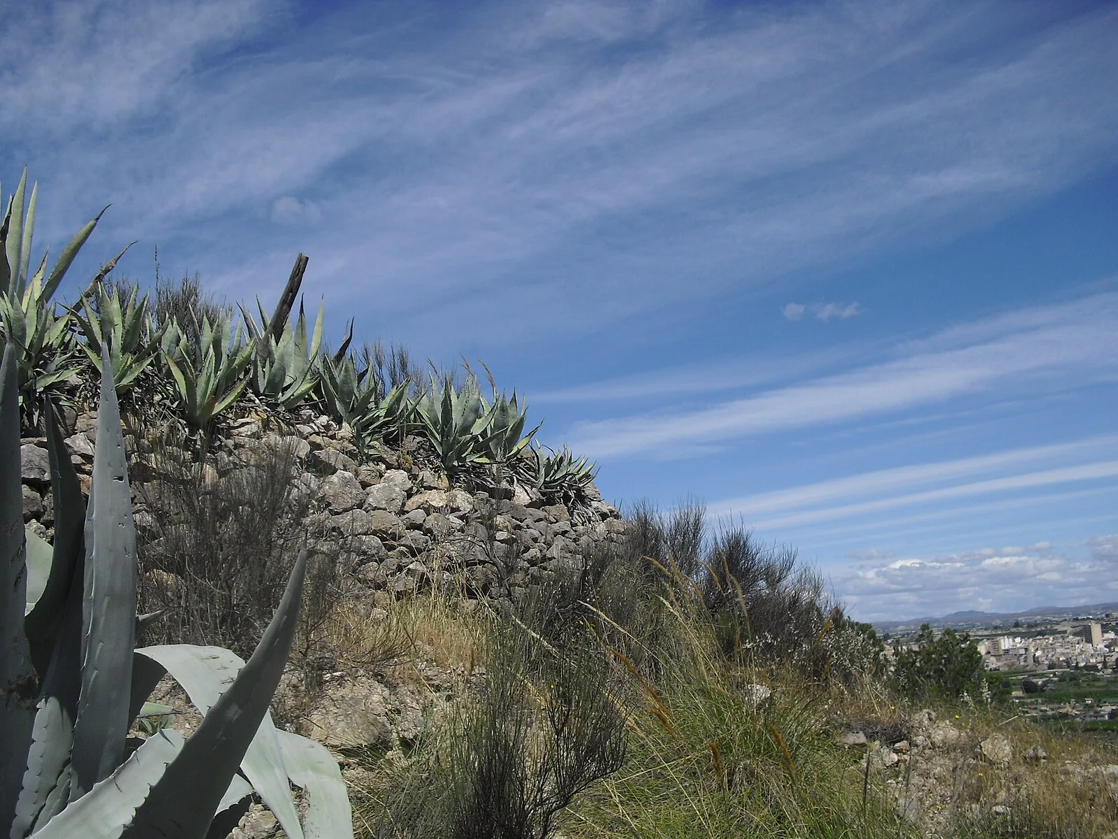 Cieza, Murcia